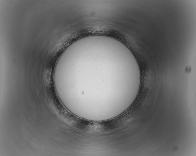 X0000111430695200907271105