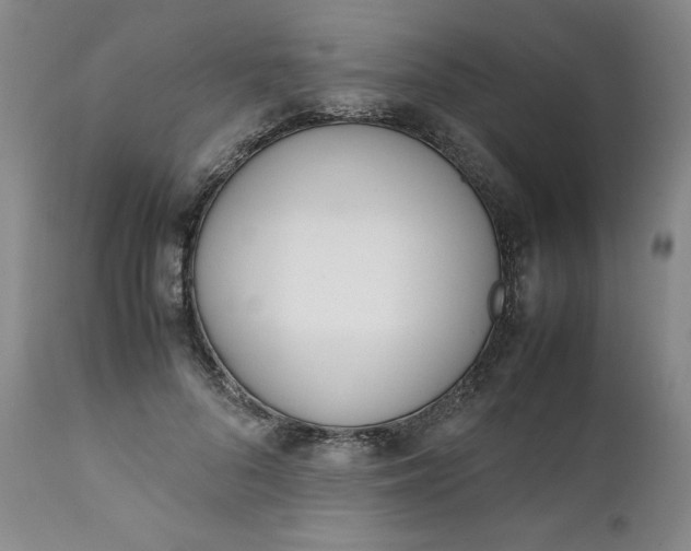 X0000111430696200907271105