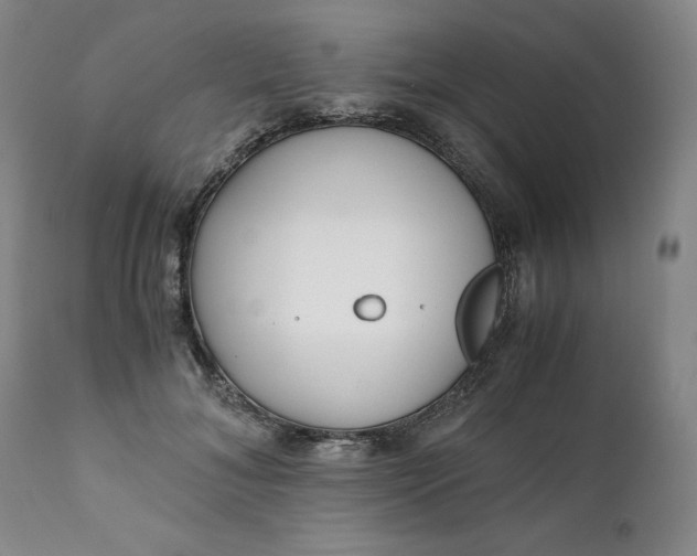 X0000111430700200907271105