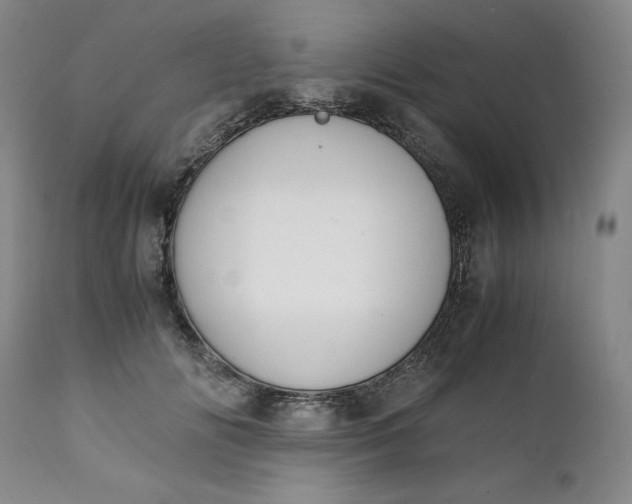 X0000111430702200907271105