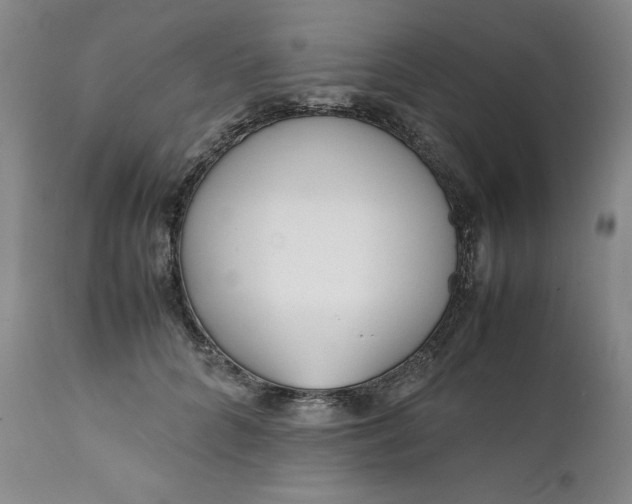 X0000111430704200907271105