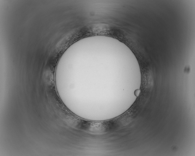 X0000111430705200907271105