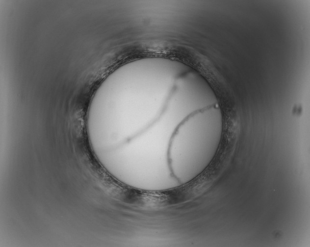 X0000111430707200907271105