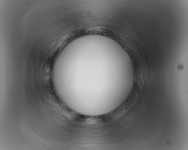 X0000111430708200907271105