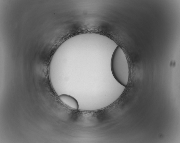 X0000111430709200907271105