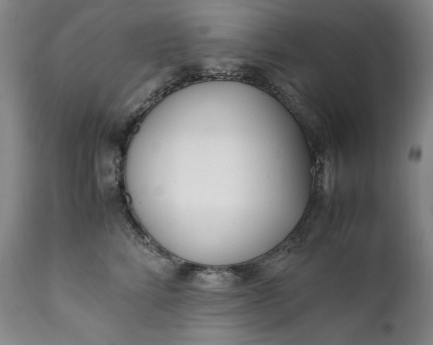 X0000111430712200907271105