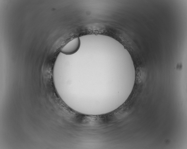 X0000111430713200907271105