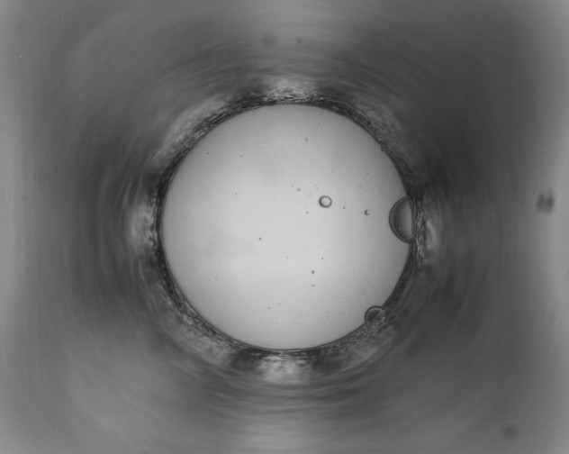 X0000111430714200907271105