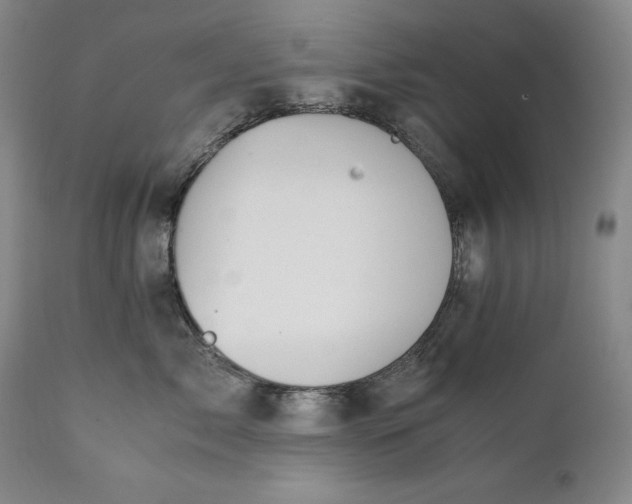 X0000111430717200907271105