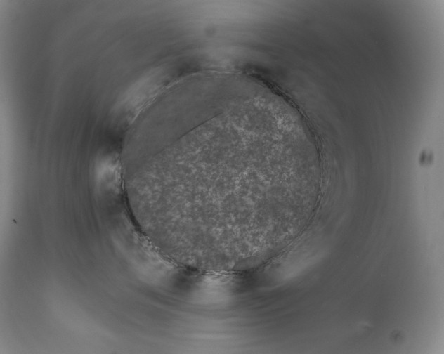 X0000111430720200907271105