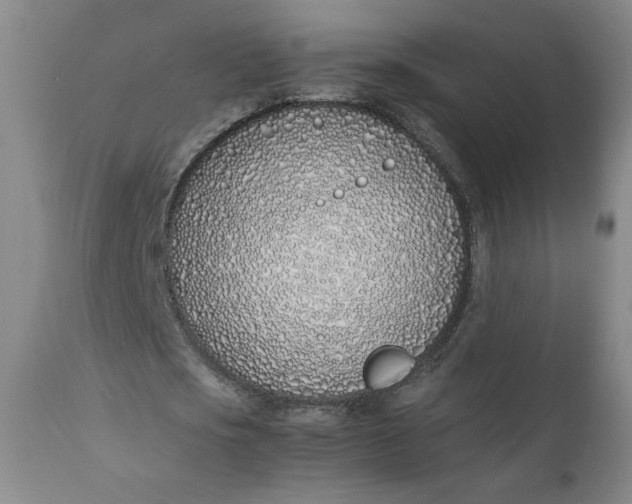 X0000111430721200907271104