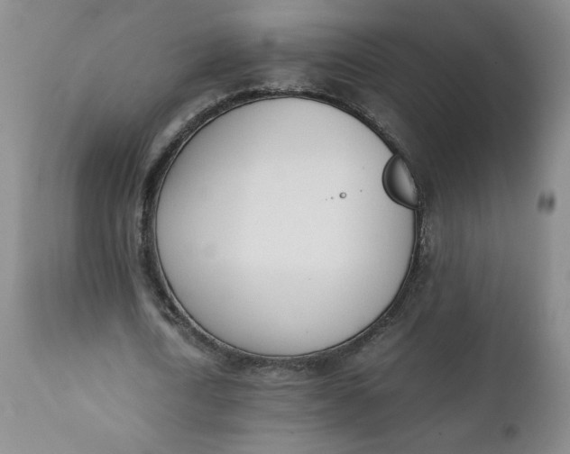 X0000111430722200907271104