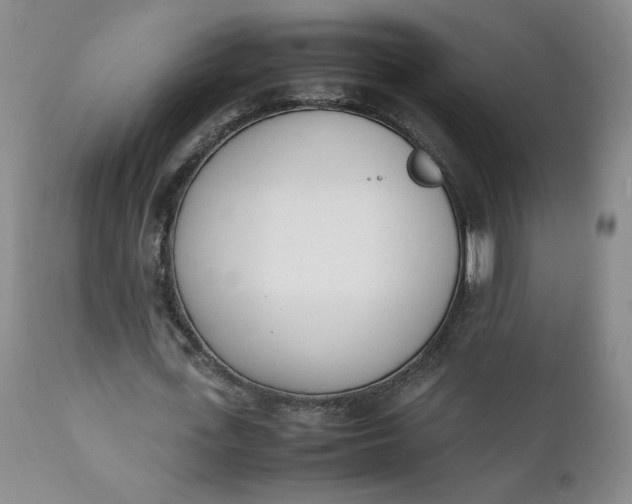 X0000111430723200907271104