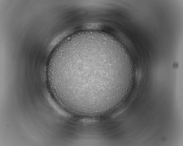 X0000111430725200907271104