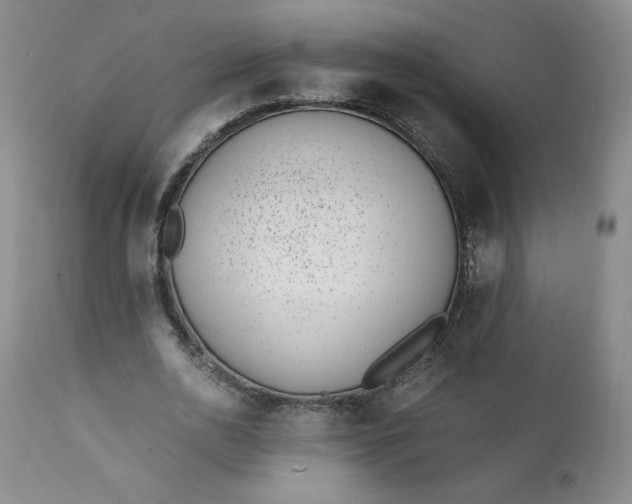 X0000111430726200907271104