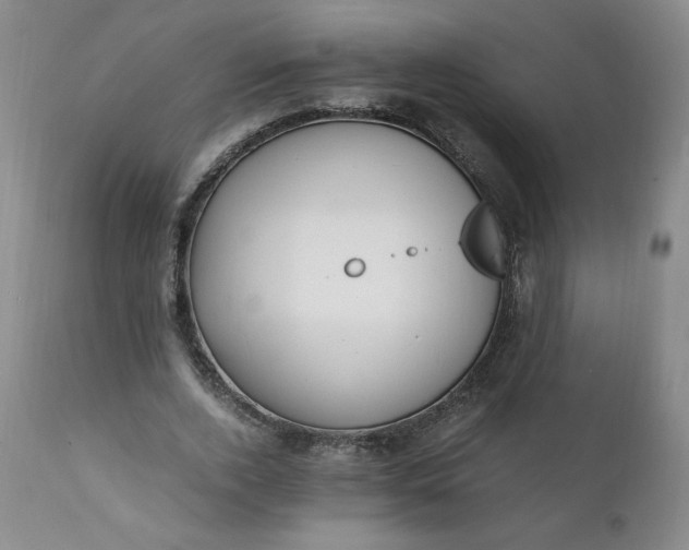 X0000111430728200907271104