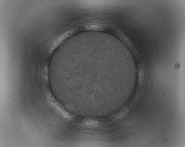 X0000111430729200907271104