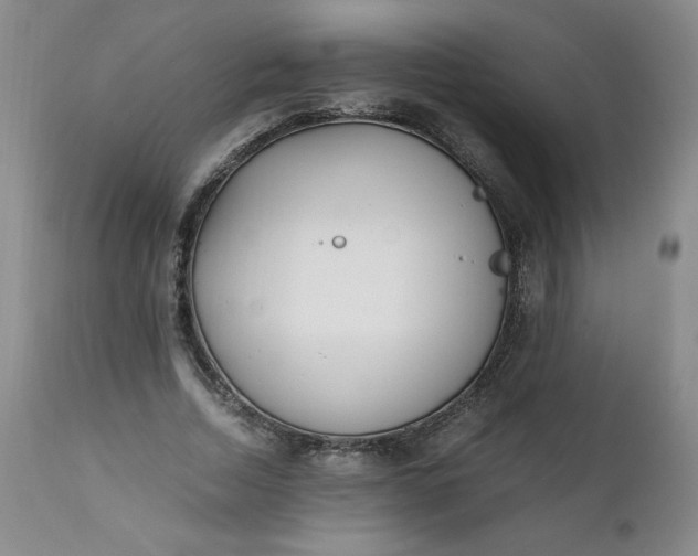 X0000111430730200907271104