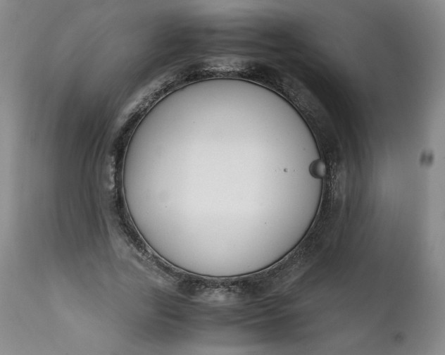 X0000111430731200907271104