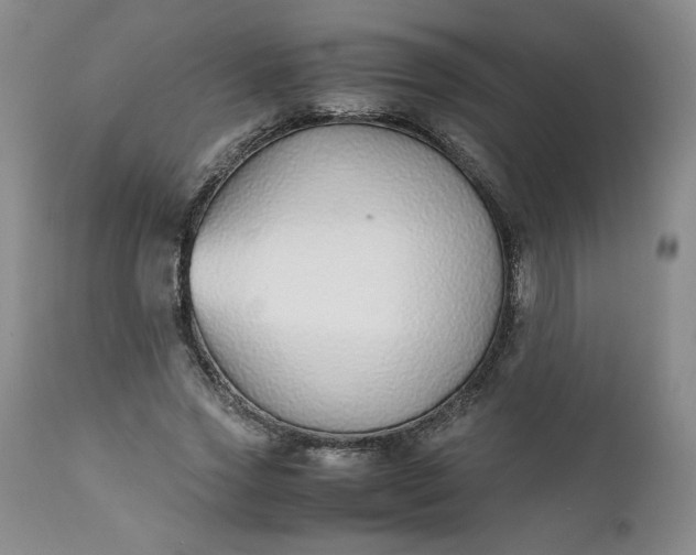 X0000111430733200907271104