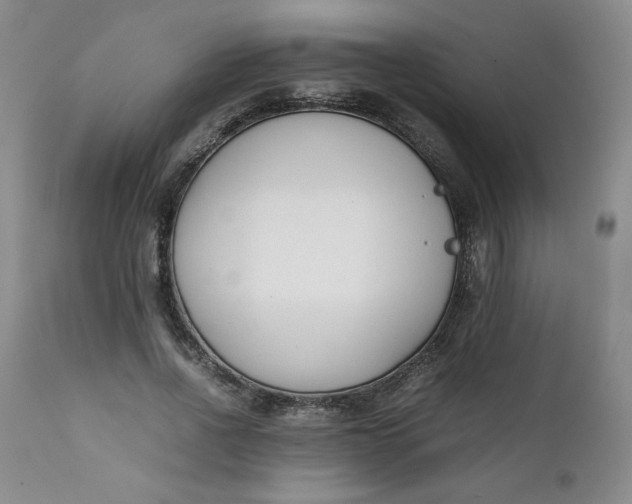 X0000111430734200907271104