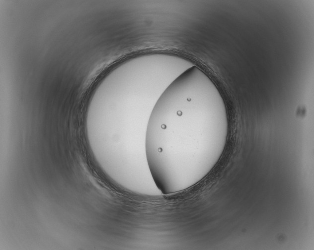 X0000111430736200907271104