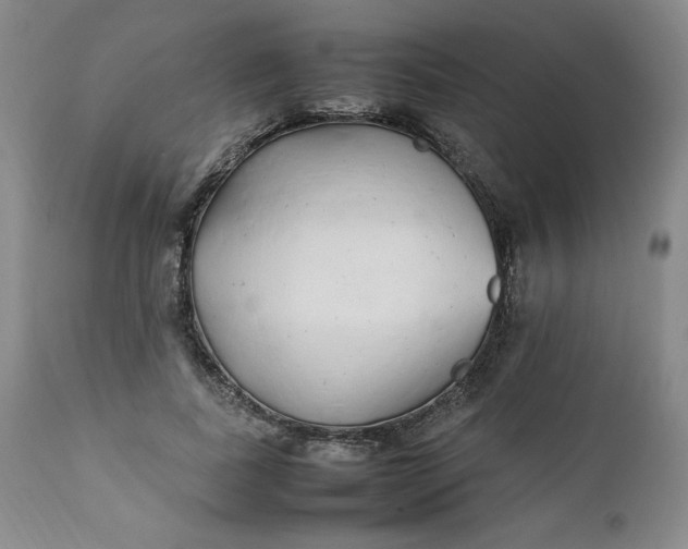 X0000111430739200907271105