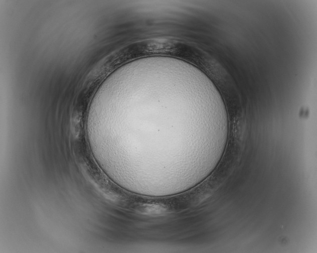 X0000111430741200907271105