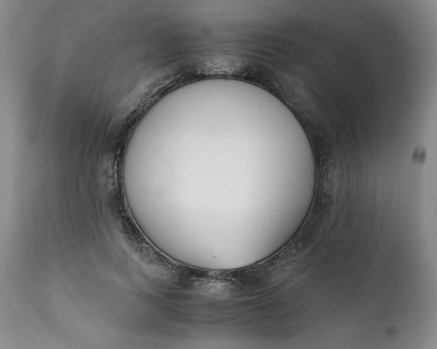 X0000111430743200907271105