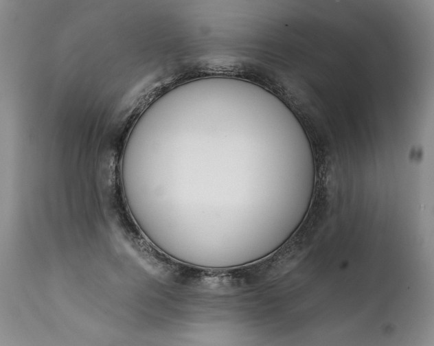 X0000111430744200907271105