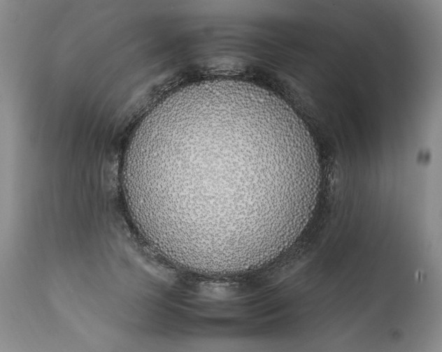 X0000111430745200907271105