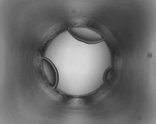 X0000111430748200907271105