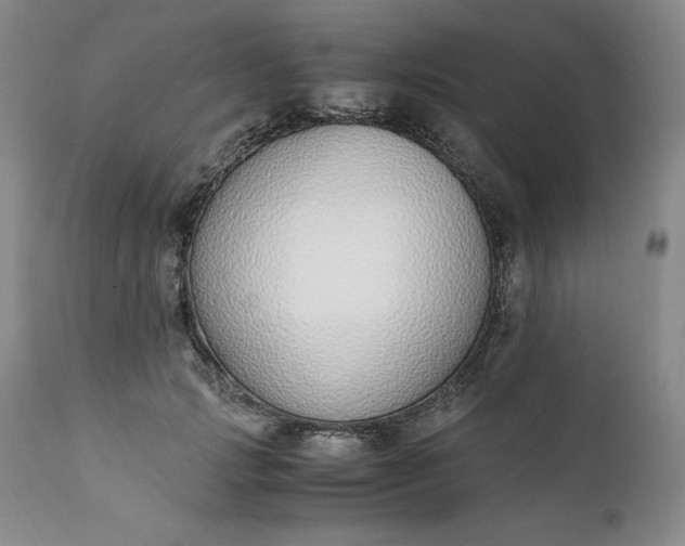 X0000111430749200907271105