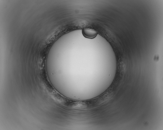 X0000111430750200907271105