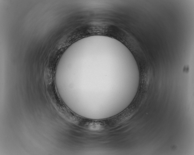 X0000111430751200907271105