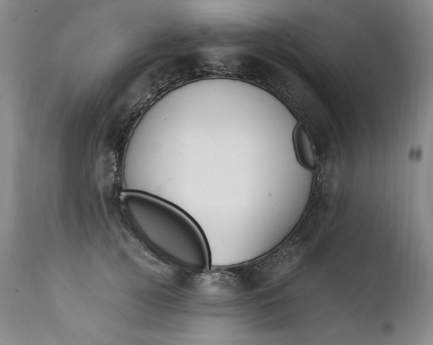 X0000111430752200907271105