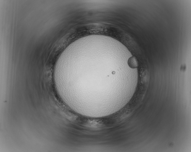 X0000111430753200907271105