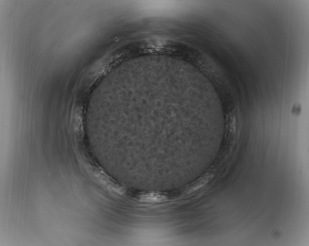 X0000111430754200907271105