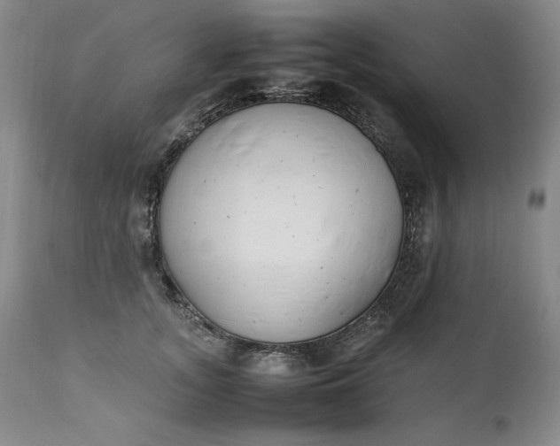 X0000111430755200907271105