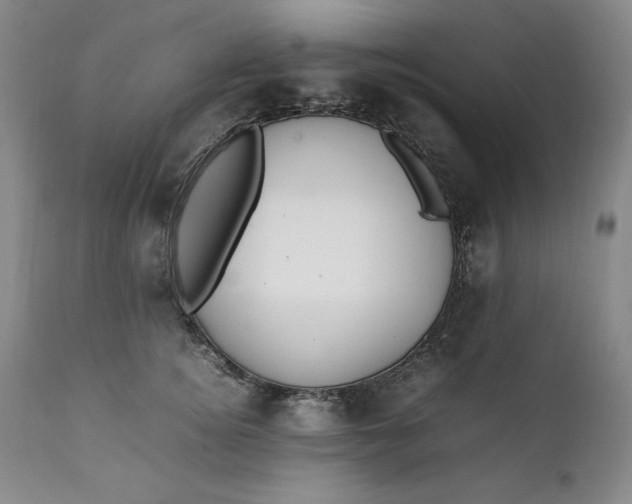 X0000111430756200907271105