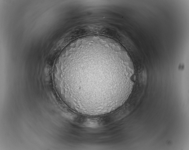 X0000111430757200907271105