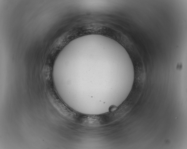 X0000111430758200907271105