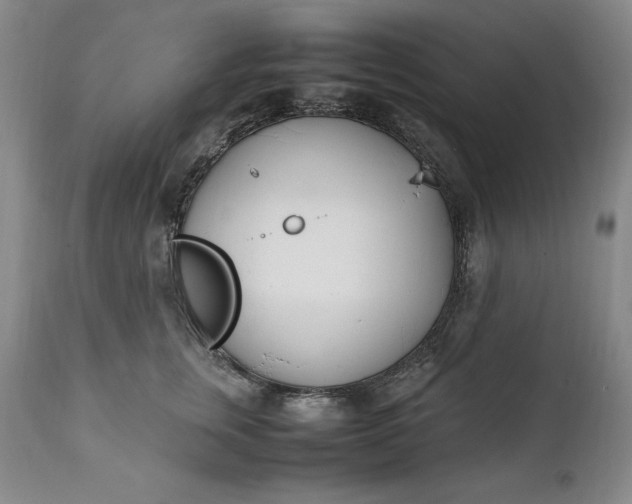 X0000111430759200907271105