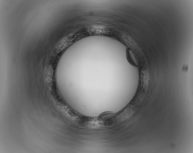 X0000111430760200907271105