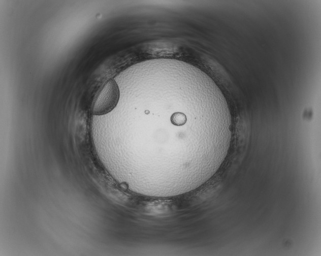 X0000111430761200907271105