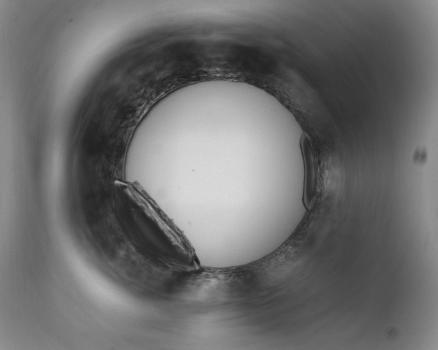 X0000111430764200907271105