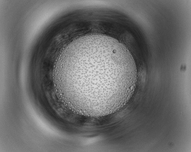 X0000111430765200907271105