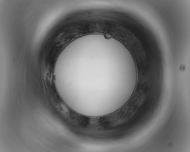 X0000111430766200907271105