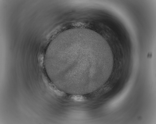 X0000111430767200907271105