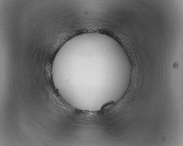 X0000111430768200907271105